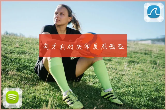 匈牙利对决印度尼西亚
