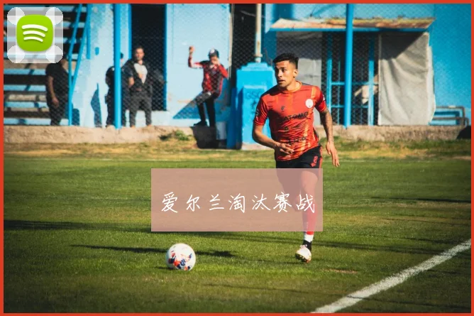 爱尔兰淘汰赛战