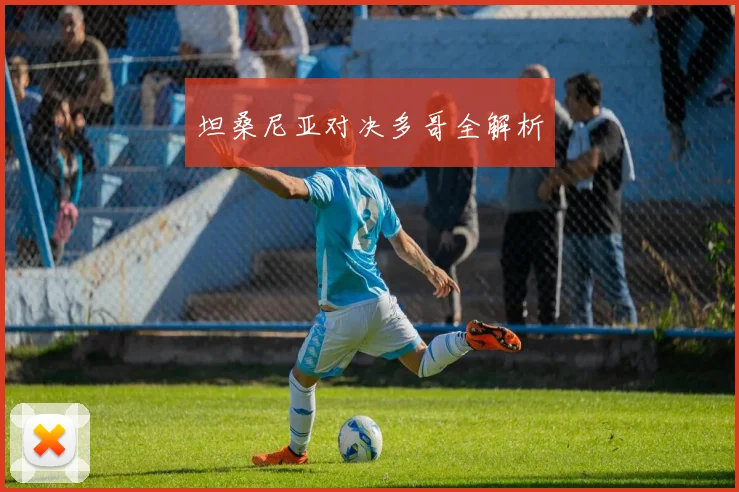 坦桑尼亚对决多哥全解析