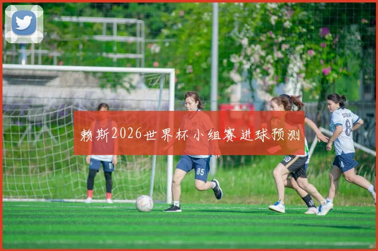 赖斯2026世界杯小组赛进球预测
