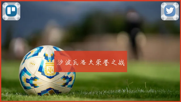 沙波瓦洛夫荣誉之战