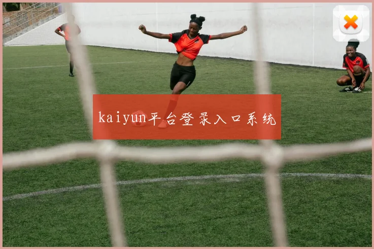 kaiyun平台登录入口系统