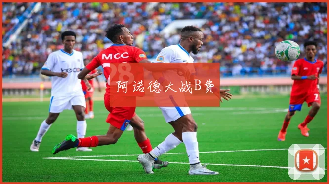 阿诺德大战B费