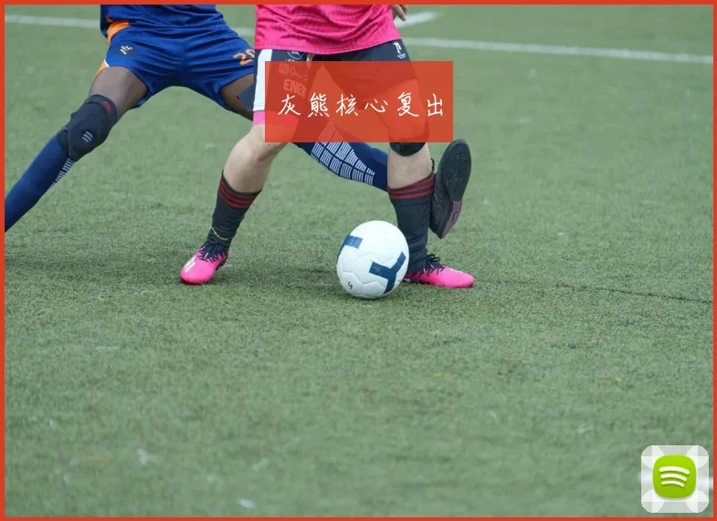 灰熊核心复出