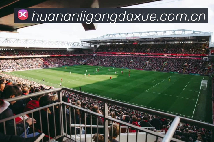 九游体育中文官方网站 - JIUYOUSPORTS官网入口服务体系