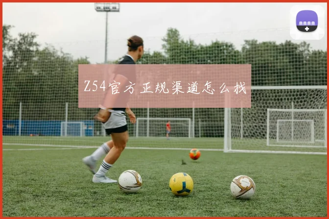 Z54官方正规渠道怎么找