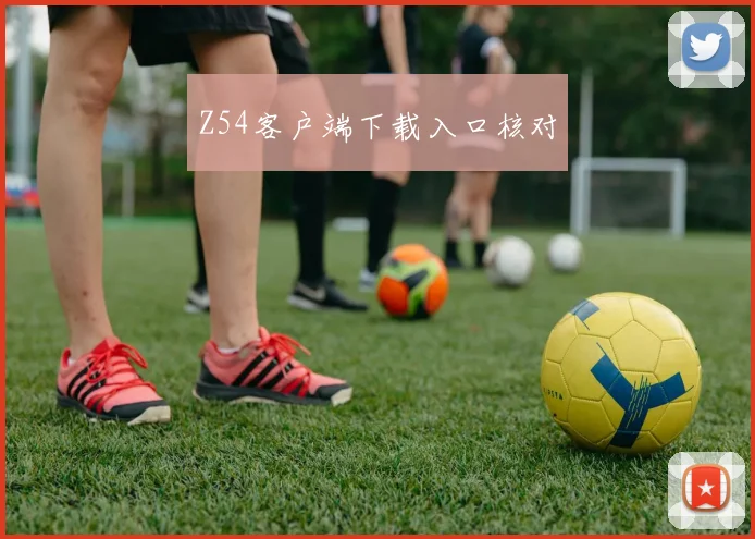 Z54客户端下载入口核对