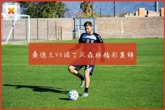 桑德兰vs诺丁汉森林精彩集锦