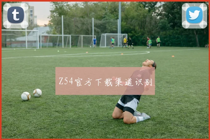 Z54官方下载渠道识别