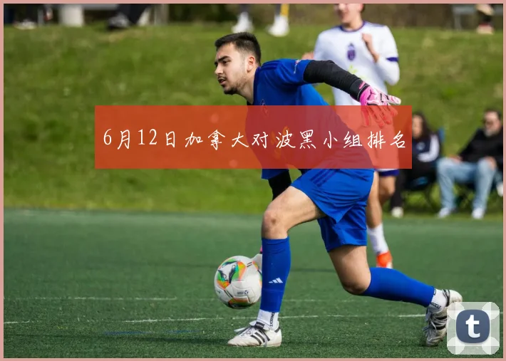 6月12日加拿大对波黑小组排名