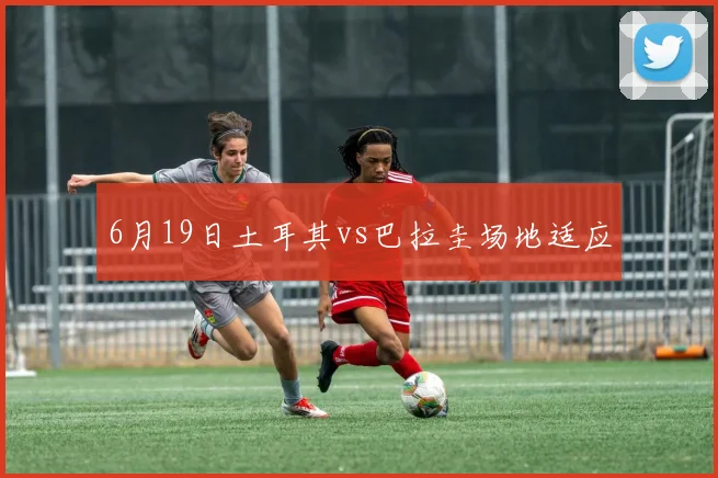 6月19日土耳其vs巴拉圭场地适应
